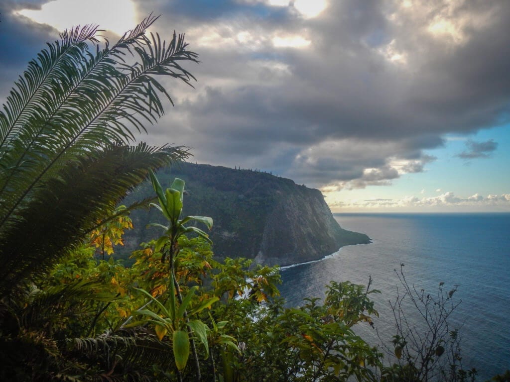 Enjoying Hawaii During Addiction Recovery: the Waipio Valley