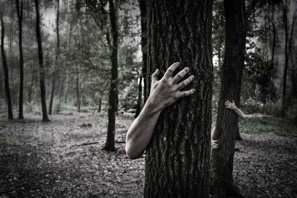 What is the Krokodil Drug?