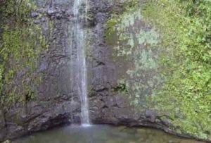 Manoa Falls in Hawaii