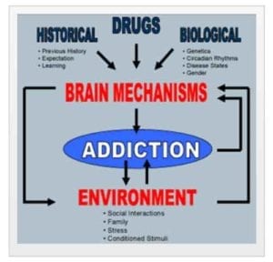 Addiction as a chronic and progressive illness