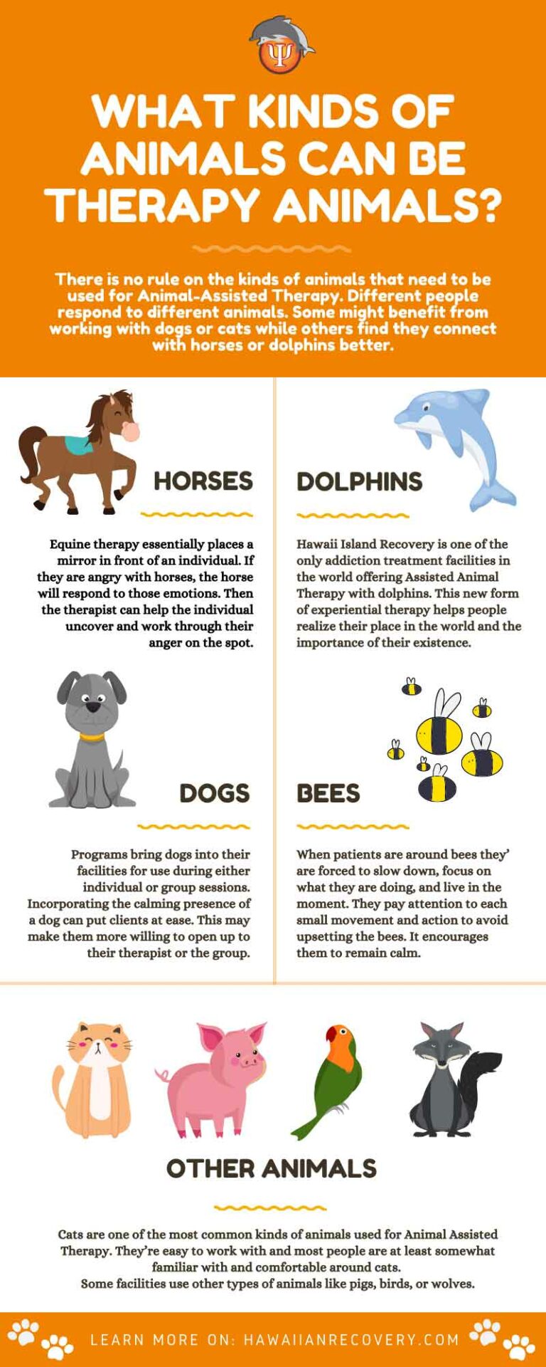 Infographic | What kinds of animals can be therapy animals - Hawaii