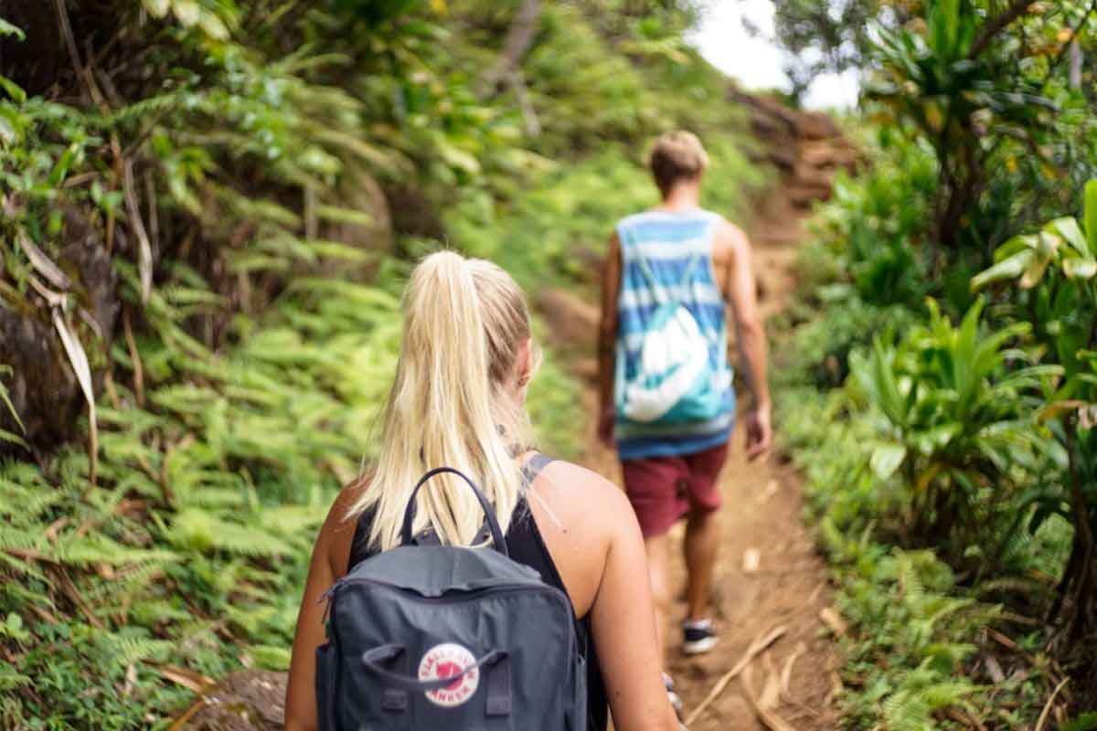 Being immersed in nature during recovery can support healing and holistic wellness. Read more about Medicine Walks & Hikes at HIR. Medicine Walks and Hikes At Hawaii Island Recovery