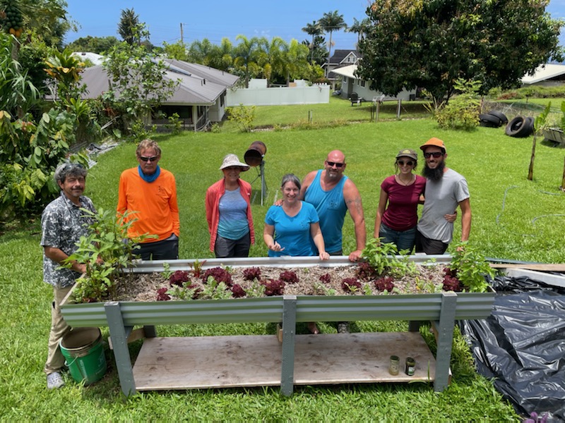 A group works together in a garden, a form of holistic horticultural therapy for healing and connection.