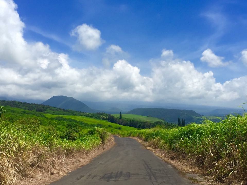 Preparing for the marathon of long-term healing