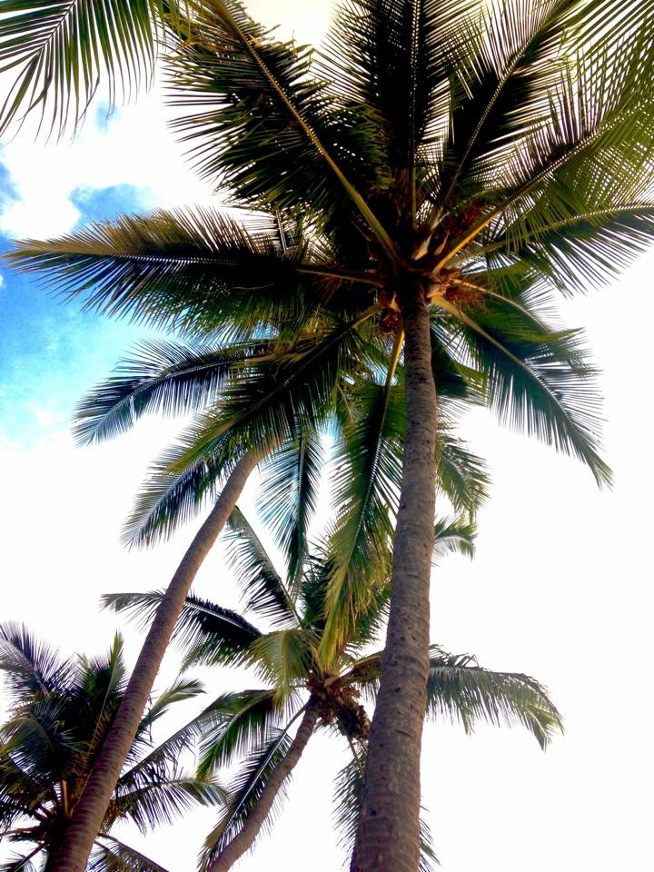 Is a Detox Program Necessary for Me?