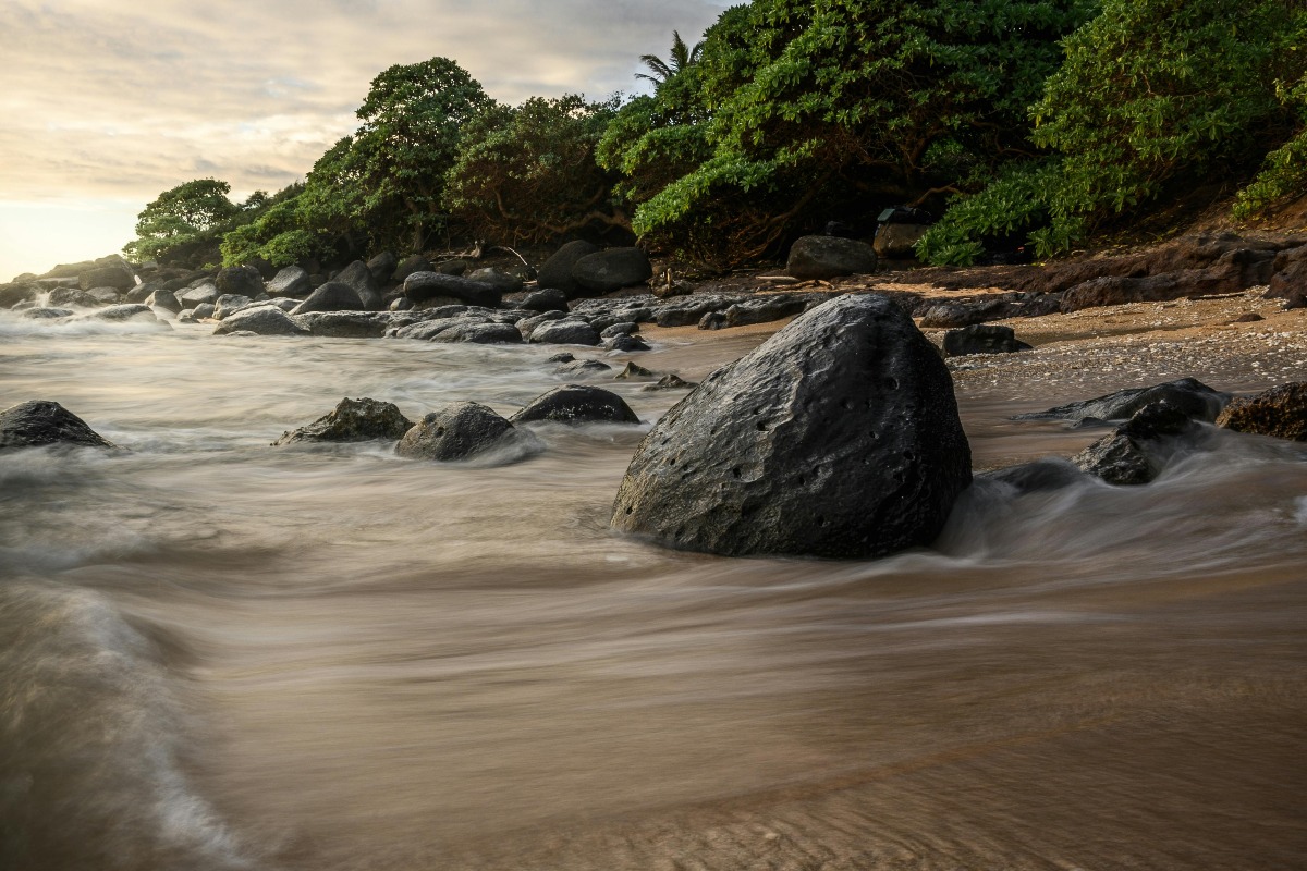 Transformative Experiential and Cultural Programming at Hawaii Island Recovery