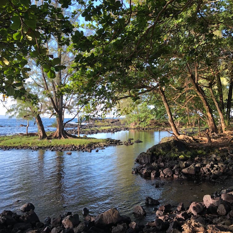 How Can I Avoid Self-Destructive Behaviors When Feeling Anxious?