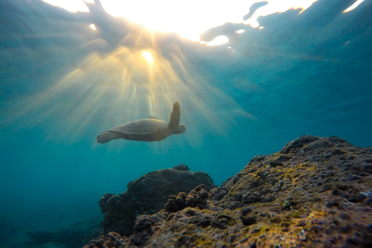 What Is Motivational Interviewing (MI) and How Does It Facilitate Recovery?